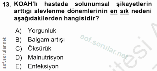 13. soru: KOAH'lı hastada solunumsal şikayetlerin arttığı alevlenme dönemlerinin en sık nedeni aşağıdakilerden hangisidir? A) Y…
