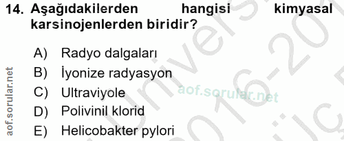 14. soru: Aşağıdakilerden hangisi kimyasal karsinojenlerden biridir? A) Radyo dalgaları lyonize radyasyon C) Ultraviyole aof.so…