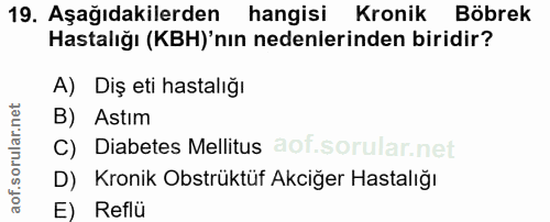 19. soru: Aşağıdakilerden hangisi Kronik Böbrek Hastalığı (KB)'nın nedenlerinden biridir? A) Diş eti hastalığı B) Astım C) Diab…