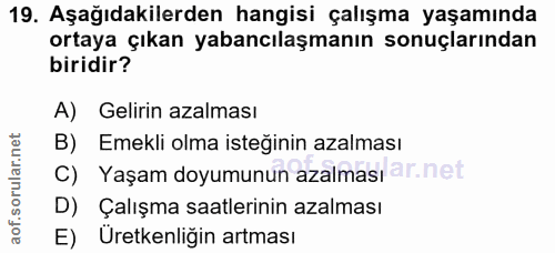19. soru: Aşağıdakilerden hangisi çalışma yaşamında ortaya çıkan yabancılaşmanın sonuçlarından biridir? A) Gelirin azalması B)…