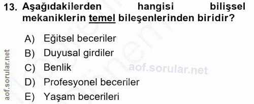 13. soru: Aşağıdakilerden hangisi bilişsel mekaniklerin temel bileşenlerinden biridir? A) Egitsel beceriler B) Duyusal girdiler…