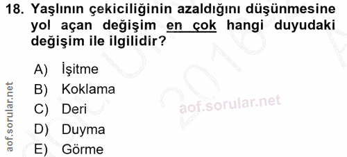 18. soru: Yaşlının çekiciliğinin azaldığını düşünmesine yol açan değişim en çok hangi duyudaki değişim ile ilgilidir? A) İşitme…
