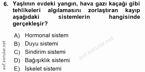 6. soru: Yaşlının evdeki yangın, hava gazı kaçağı gibi tehlikeleri algılamasını zorlaştıran kayıp aşağıdaki sistemlerin hangis…