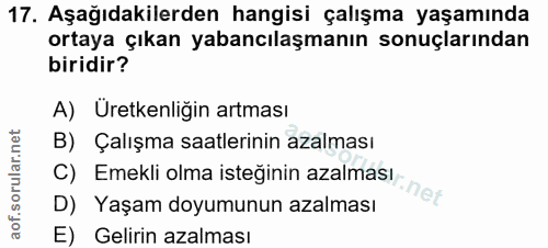 17. soru: Aşağıdakilerden hangisi çalışma yaşamında ortaya çıkan yabancılaşmanın sonuçlarından biridir? A) Uretkenliğin artması…