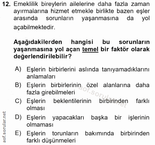 12. soru: Emeklilik bireylerin ailelerine daha fazla zaman ayırmalarına hizmet etmekle birlikte bazen eşler arasında sorunların…