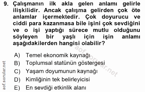 9. soru: Çalışmanın ilk akla gelen anlamı gelirle ilişkilidir. Ancak çalışma gelirden çok öte anlamlar içermektedir. Çok doyur…