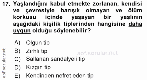 17. soru: Yaşlandığını kabul etmekte zorlanan, kendisi ve çevresiyle barışık olmayan ve ölüm korkusu içinde yaşayan bir yaşlını…