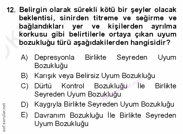 12. soru: Belirgin olarak sürekli kötü bir şeyler olacak beklentisi, sinirden titreme ve seğirme ve bağlandıkları yer ve kişile…