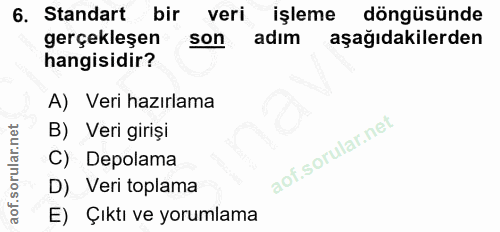 6. soru: Standart bir veri işleme döngüsünde gerçekleşen son adım aşağıdakilerden hangisidir? A) Veri hazırlama B) Veri giriși…