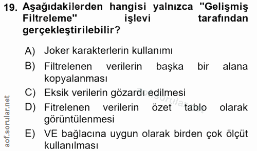 19. soru: Asağıdakilerden hangısi yalnızaa "Gelismiş Filtreleme" tarafından gerçekleştirilebilir? A) Joker karakterlerin kullan…
