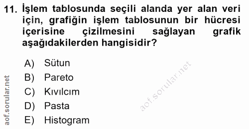11. soru: İşlem tablosunda seçili alanda yer alan veri için, grafiğin işlem tablosunun bir hücresi içerisine çizilmesini sağlay…