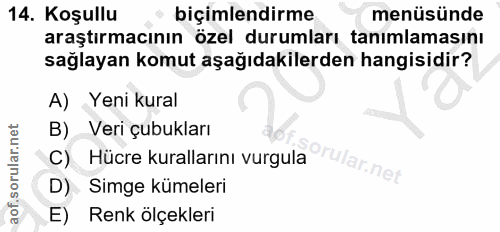 14. soru: Koşullu biçimlendirme menüsünde araştırmacının özel durumları tanımlamasını sağlayan komut aşağıdakilerden hangisidir…