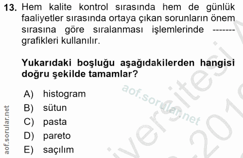 13. soru: Hem kalite kontrol sırasında hem de günlük faaliyetler sırasında ortaya çıkan sorunların önem sırasına göre sıralanma…
