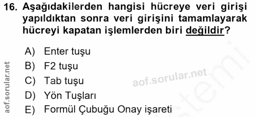 16. soru: Aşağıdakilerden hangisi hücreye veri girişi yapıldıktan sonra veri girişini tamamlayarak hücreyi kapatan işlemlerden…