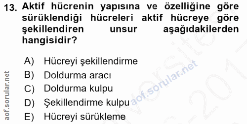 13. soru: Aktif hücrenin yapısına ve özelliğine göre sürüklendiği hücreleri aktif hücreye göre şekillendiren unsur aşağıdakiler…