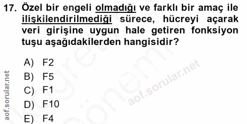 17. soru: Özel bir engeli olmadığı ve farklı bir amaç ile ilişkilendirilmediği sürece, hücreyi açarak veri girişine uygun hale…