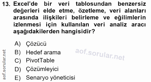 13. soru: Excel'de bir veri tablosundan benzersiz değerleri elde etme, özetleme, veri alanları arasında ilişkileri belirleme ve…
