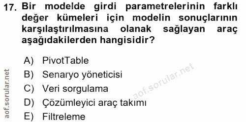 17. soru: Bir modelde girdi parametrelerinin farklı değer kümeleri için modelin sonuçlarının karşılaştırılmasına olanak sağlaya…