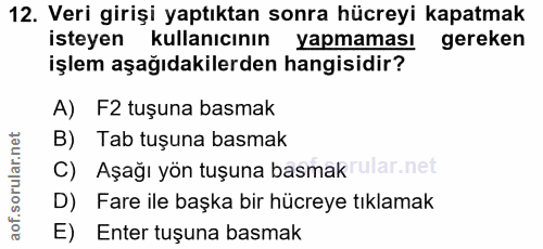 12. soru: Veri girişi yaptıktan sonra hücreyi kapatmak isteyen kullanıcının yapmaması gereken işlem aşağıdakilerden hangisidir?…