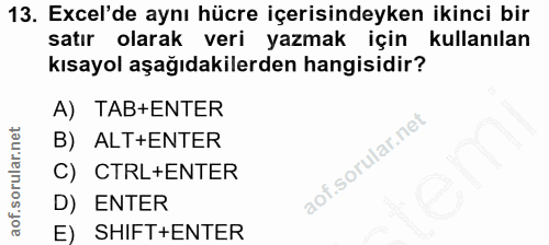 13. soru: Excel'de aynı hücre içerisindeyken ikinci bir satır olarak veri yazmak için kullanılan kısayol aşağıdakilerden hangis…