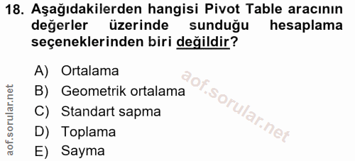 18. soru: Aşağıdakilerden hangisi Pivot Table aracının değerler üzerinde sunduğu hesaplama seçeneklerinden biri değildir? A) Or…