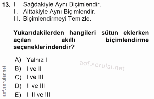 13. soru: I. Sağdakiyle Aynı Biçimlendir. Il. Alttakiyle Aynı Biçimlendir. IlI. Biçimlendirmeyi Temizle. Yukarıdakilerden hangi…