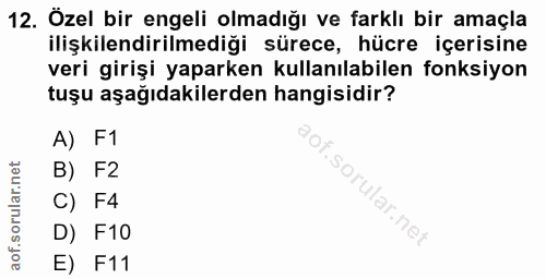12. soru: Özel bir engeli olmadığı ve farklı bir amaçla ilişkilendirilmediği sürece, hücre içerisine veri girişi yaparken kulla…