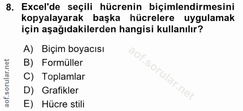 8. soru: Excel'de seçili hücrenin biçimlendirmesini kopyalayarak başka hücrelere uygulamak için aşağıdakilerden hangisi kullan…