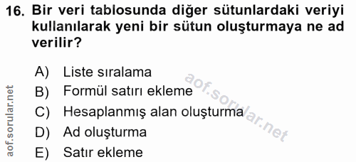 16. soru: Bir veri tablosunda diğer sütunlardaki veriyi kullanılarak yeni bir sütun oluşturmaya ne ad verilir? A) Liste sıralam…