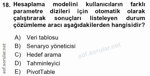 18. soru: Hesaplama modelini kullanıcıların farklı parametre dizileri için otomatik olarak çalıştırarak sonuçları listeleyen du…