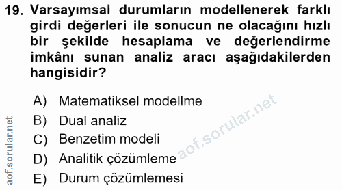 19. soru: Varsayımsal durumların modellenerek farklı girdi değerleri ile sonucun ne olacağını hızlı bir şekilde hesaplama ve de…