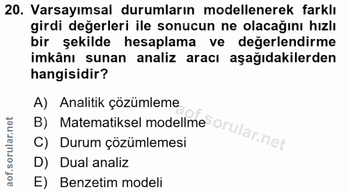 20. soru: Varsayımsal durumların modellenerek farklı girdi değerleri ile sonucun ne olacağını hızlı bir şekilde hesaplama ve de…