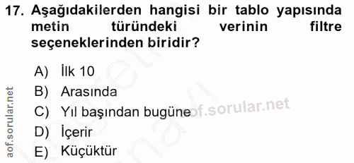 17. soru: Aşağıdakilerden hangisi bir tablo yapısında metin türündeki verinin filtre seçeneklerinden biridir? A) ilk 10 B) Aras…