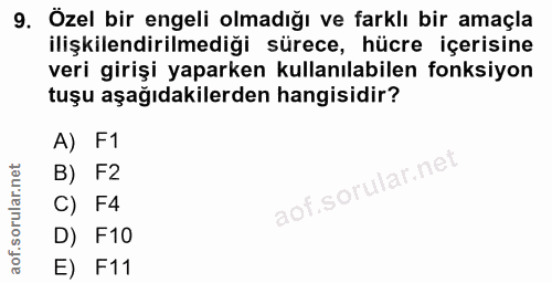 9. soru: Özel bir engeli olmadığı ve farklı bir amaçla ilişkilendirilmediği sürece, hücre içerisine veri girişi yaparken kulla…
