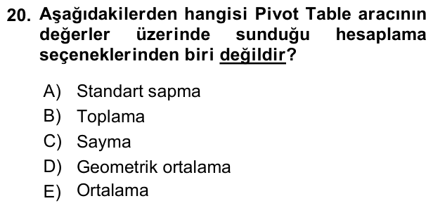 20. soru: Aşağıdakilerden hangisi Pivot Table aracının değerler üzerinde sunduğu hesaplama seçeneklerinden biri değildir? A) St…