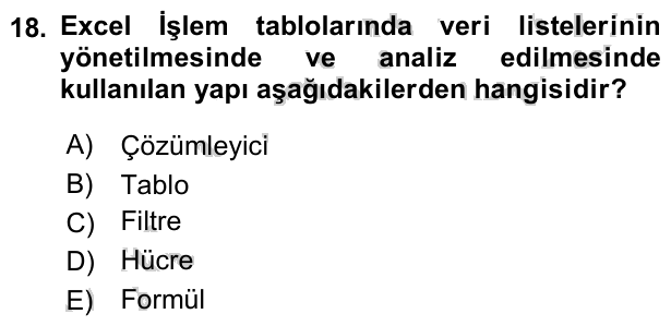 18. soru: Excel İşlem tablolarında veri listelerinin yönetilmesinde ve analiz edilmesinde kullanılan yapı aşağıdakilerden hangi…