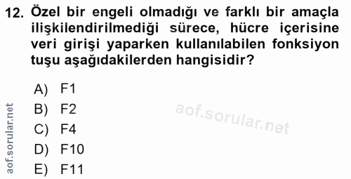 12. soru: Özel bir engeli olmadığı ve farklı bir amaçla ilişkilendirilmediği sürece, hücre içerisine veri girişi yaparken kulla…