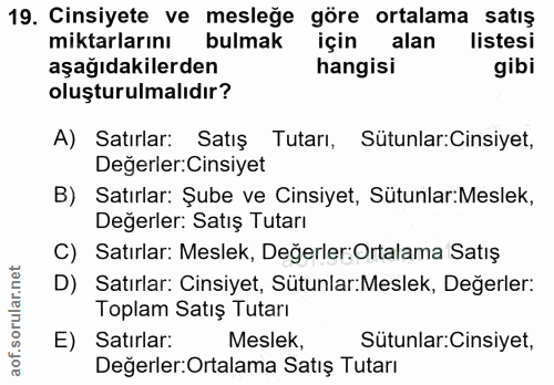 19. soru: Cinsiyete ve mesleğe göre ortalama satış miktarlarını bulmak için n alan listesi aşağıdakilerden hangisi gibi oluştur…