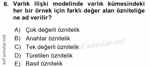6. soru: Varlık ilişki modelinde varlık kümesindeki her bir örnek için farklı değer alan özniteliğe ne ad verilir? A) Çok değe…