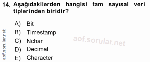 14. soru: Aşağıdakilerden hangisi tam sayısal veri tiplerinden biridir? A) Bit B) Timestamp Nchar D) Decimal E) Character