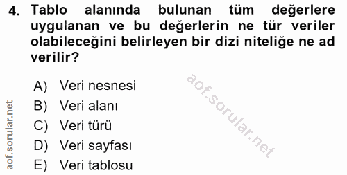 4. soru: Tablo alanında bulunan tüm değerlere uygulanan ve bu değerlerin ne tür veriler olabileceğini belirleyen bir dizi nite…