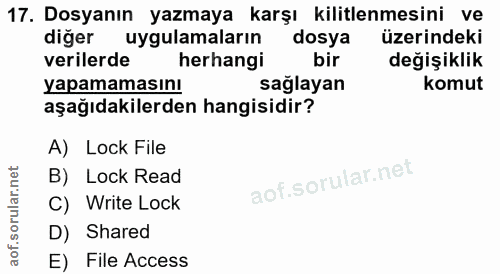 17. soru: Dosyanın yazmaya karşı kilitlenmesini ve diğer uygulamaların dosya üzerindeki verilerde herhangi bir değişiklik yapam…