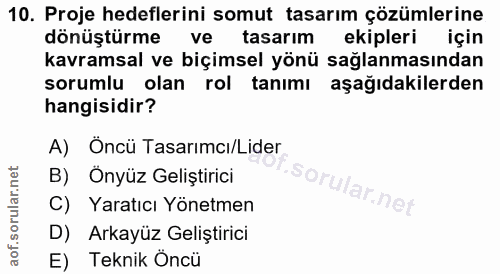 10. soru: Proje hedeflerini somut tasarım çözümlerine dönüştürme ve tasarım ekipleri için kavramsal ve biçimsel yönü sağlanması…