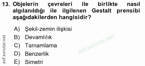 13. soru: Objelerin çevreleri ile birlikte nasıl algılanıldığı ile ilgilenen Gestalt prensibi aşağıdakilerden hangisidir? A) Şe…
