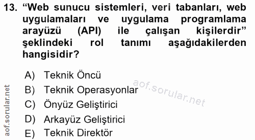 13. soru: "Web sunucu sistemleri, veri tabanları, web uygulamaları ve uygulama programlama arayüzü (API) ile çalışan kişilerdir…