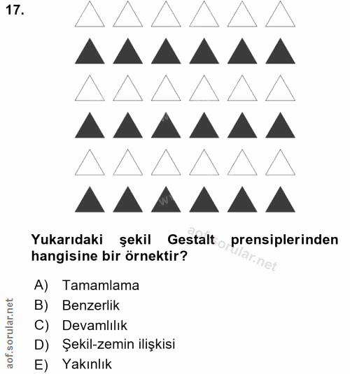 17. soru: Yukarıdaki şekil Gestalt prensiplerinden hangisine bir örnektir? ar.net A) Tamamlama B) Benzerlik C) Devamlılık D) Şe…