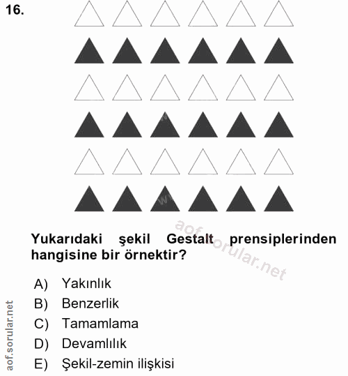 16. soru: Yukarıdaki şekil Gestalt prensiplerinden hangisine bir örnektir? ar.net A) Yakınlık B) Benzerlik C) Tamamlama D) Deva…