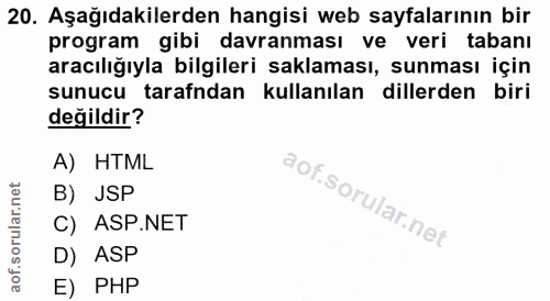 20. soru: Aşağıdakilerden hangisi web sayfalarının bir program gibi davranması ve veri tabanı aracılığıyla bilgileri saklaması,…