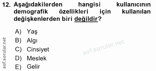 12. soru: Aşağıdakilerden hangisi kullanıcının demografik özellikleri için kullanılan değişkenlerden biri değildir? A) Yaş B) A…