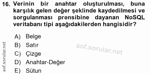 16. soru: Verinin bir anahtar oluşturulması, buna karşılık gelen değer şeklinde kaydedilmesi ve sorgulanması prensibine dayanan…